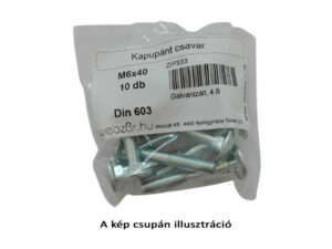Kapupánt csavar DIN 603, 4.8 galvanikusan horganyzott, M6x70 (10 db)